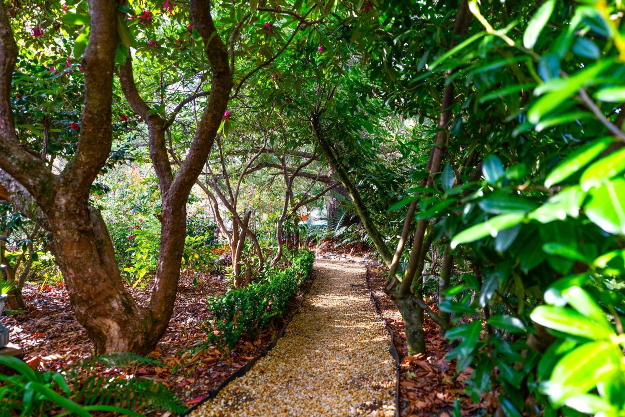 Kubba Roonga Guesthouse - Boutique Luxury Spa Retreat & Gardens - Blue Mountains Blackheath Extérieur photo