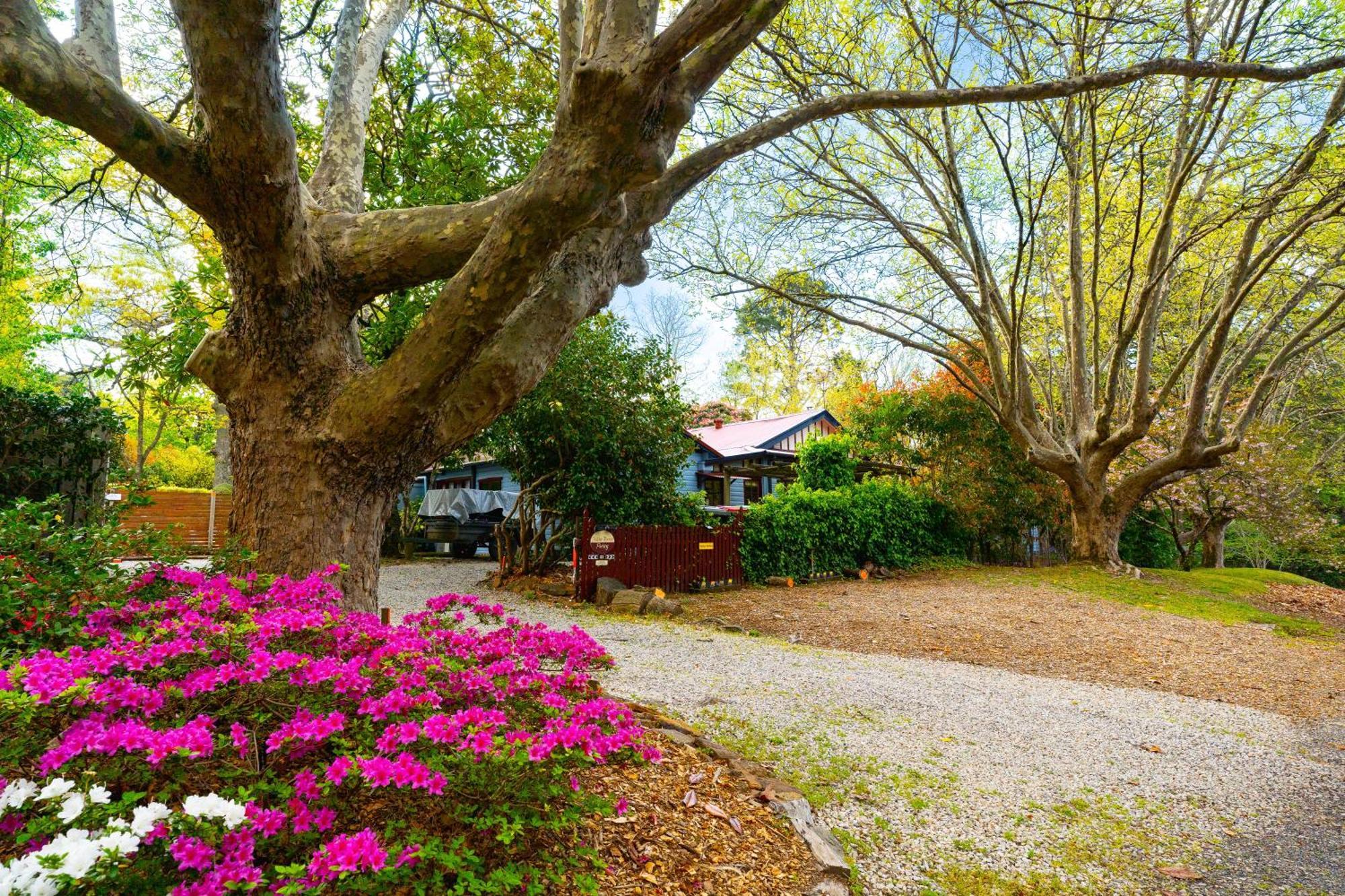 Kubba Roonga Guesthouse - Boutique Luxury Spa Retreat & Gardens - Blue Mountains Blackheath Extérieur photo