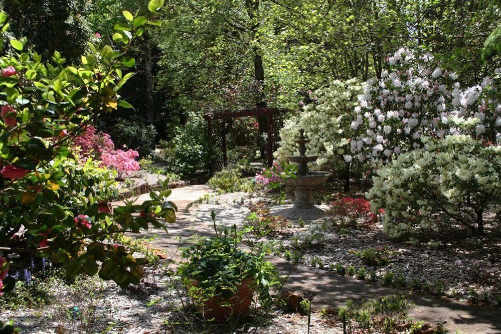 Kubba Roonga Guesthouse - Boutique Luxury Spa Retreat & Gardens - Blue Mountains Blackheath Extérieur photo