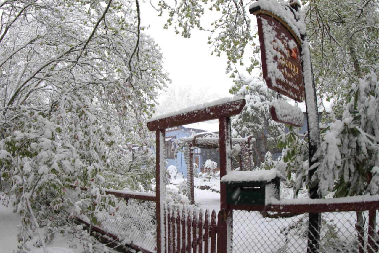 Kubba Roonga Guesthouse - Boutique Luxury Spa Retreat & Gardens - Blue Mountains Blackheath Extérieur photo